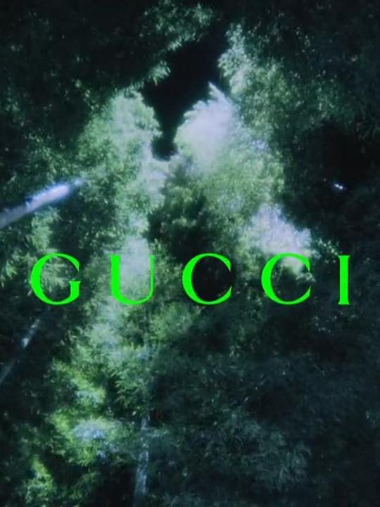 《辉夜姬》电影封面