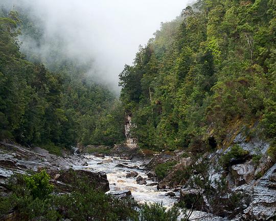 《Franklin》纪录片封面