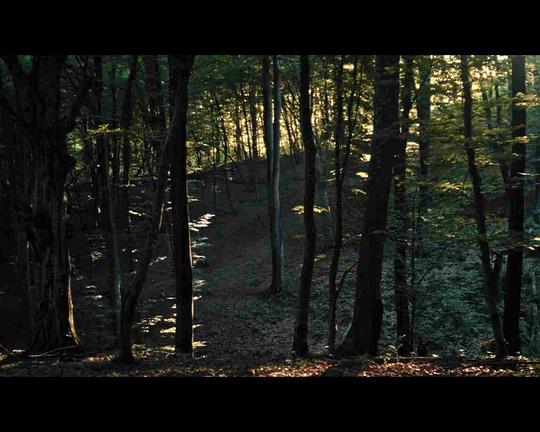 《Spuren im Wald》电影封面