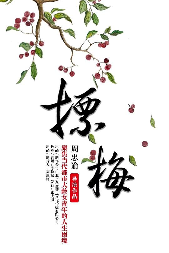 《摽梅》纪录片封面