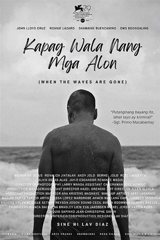 《当浪潮已逝》电影封面