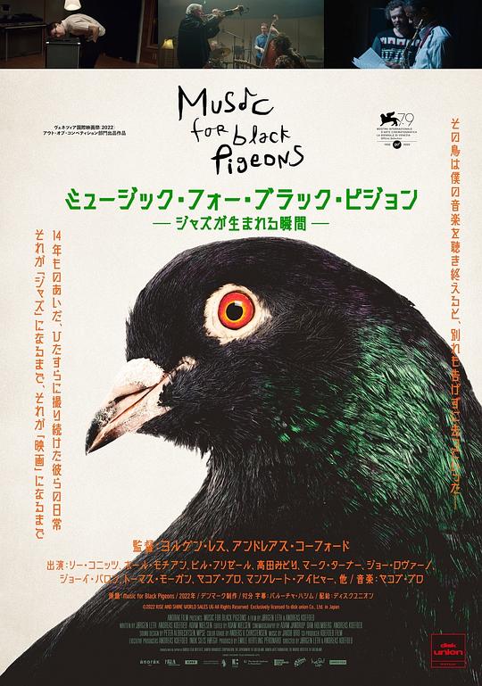 《献给乌鸽的乐章》音乐封面