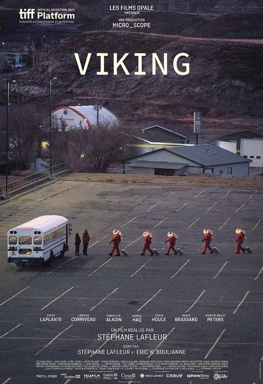 《维金探测器》电影封面