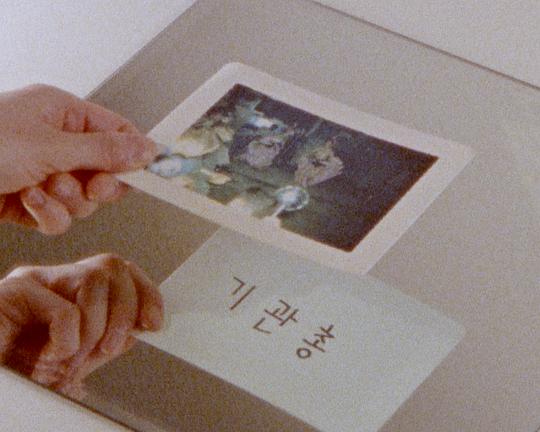 《所见非相》纪录片封面