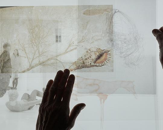 《Transparent》纪录片封面