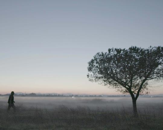 《智奭》纪录片封面
