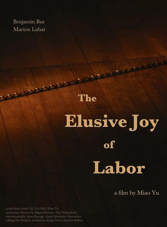 《难以捉摸的劳动快乐》电影封面