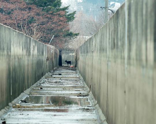 《생츄어리》纪录片封面