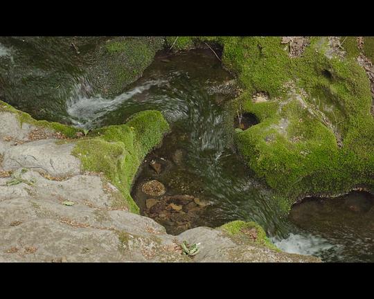 《호수》电影封面