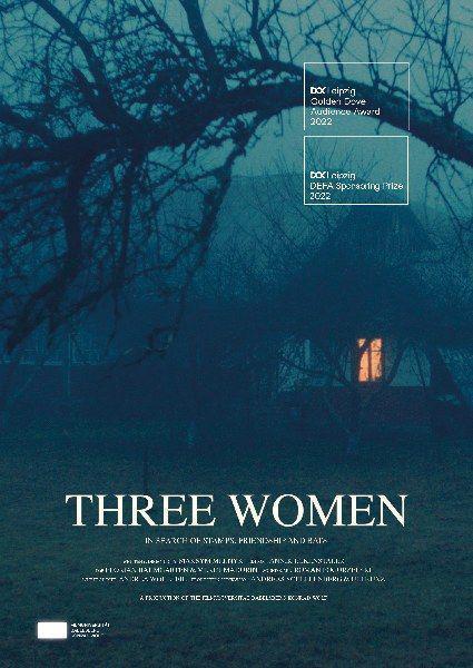 《Drei Frauen》电影封面