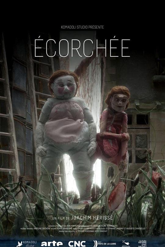 《合皮》动画封面