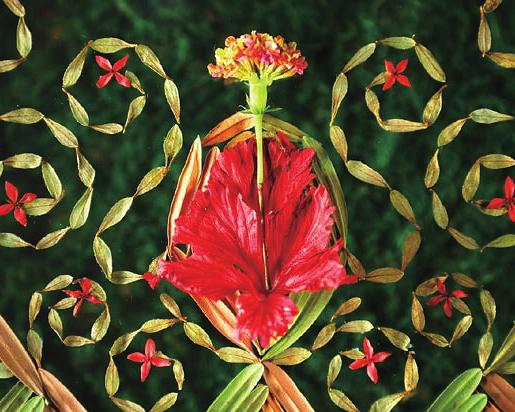 《花簇在婆娑中绽放》动画封面