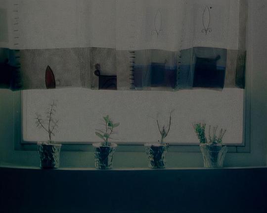 《三姐妹》纪录片封面