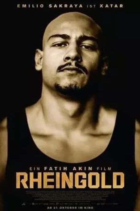 《莱茵金》音乐封面