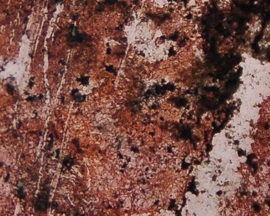 《Tutto qui》纪录片封面