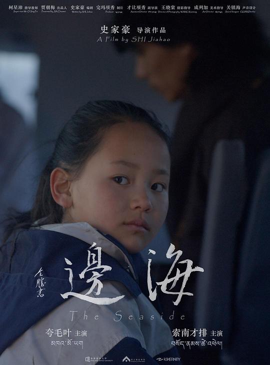 《海边》电影封面