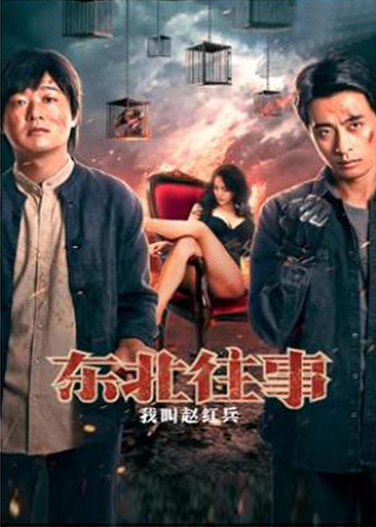 《东北往事之我叫赵红兵》电影封面