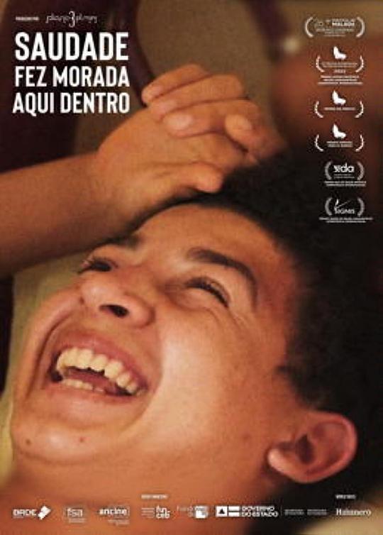 《苦乐参半》电影封面