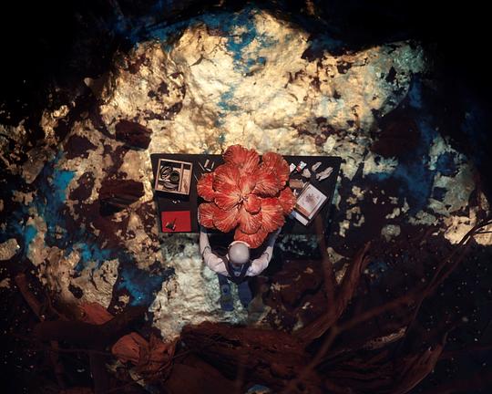 《花度》动画封面