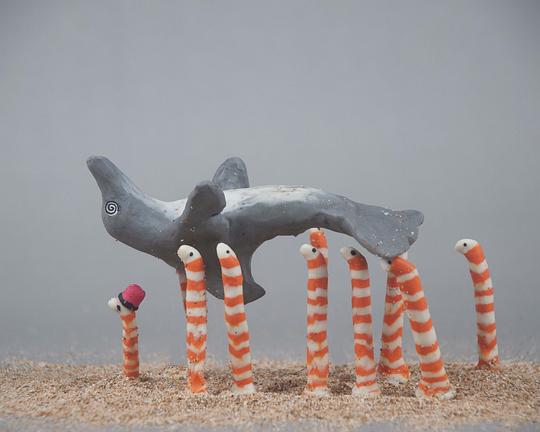 《深海生海參》动画封面