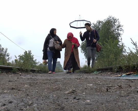 《迁移笔记》电影封面