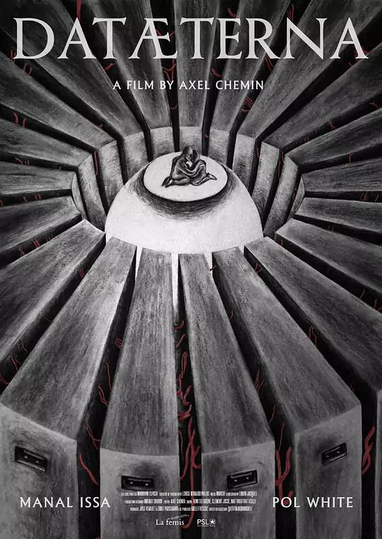 《永恒数据》电影封面