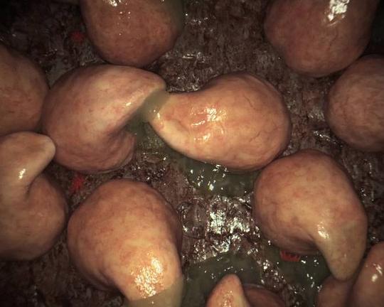 《汁液》电影封面