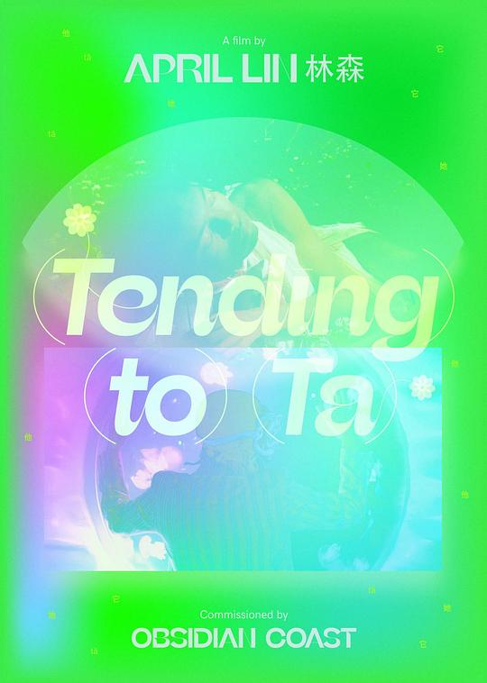 《（趋）（近）（Ta）》电影封面