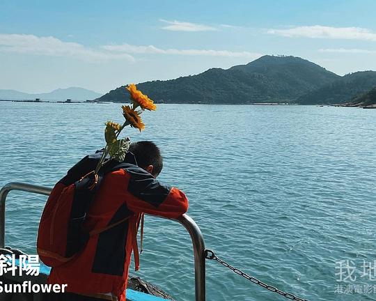 《斜陽》电影封面