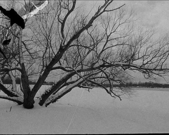 《River》电影封面