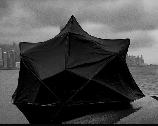 《失去的部分》电影封面