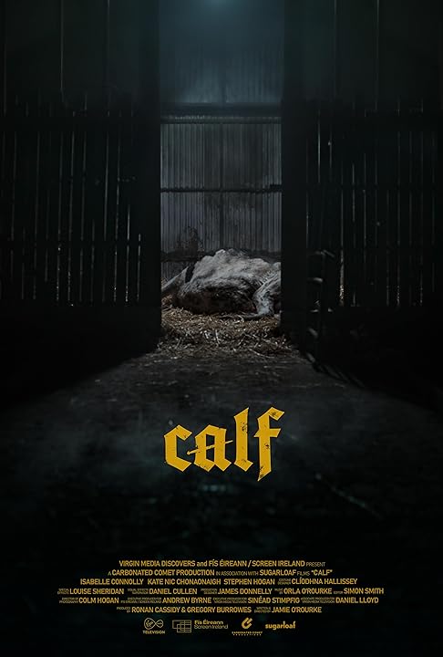 《Calf》电影封面