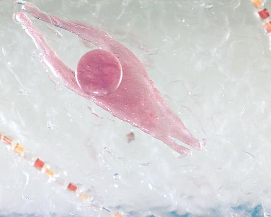 《Return》动画封面