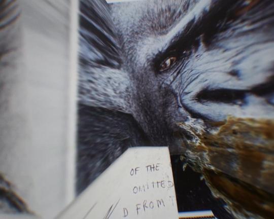 《I Remember (Depth of Flattened Cruelty)》电影封面