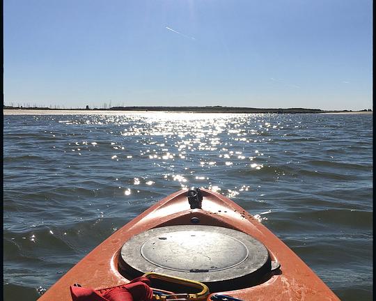 《A Portrait of Otherness Island》电影封面