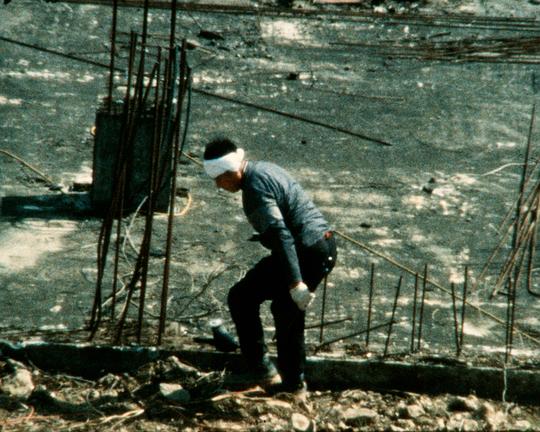 《閃爍鷗》电影封面