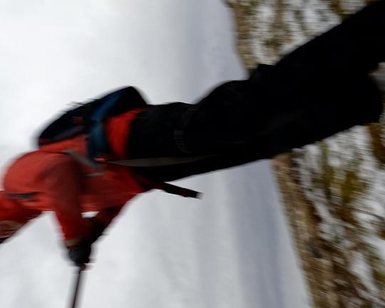 《乌鸦回家时》电影封面