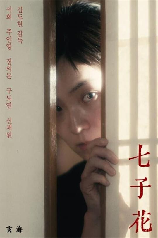 《七子花》电影封面