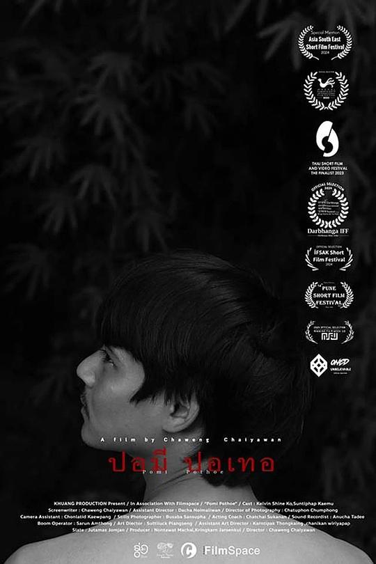 《波米·波托霍》电影封面