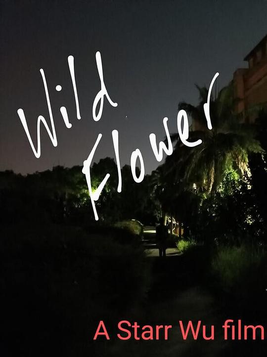 《野花》电影封面