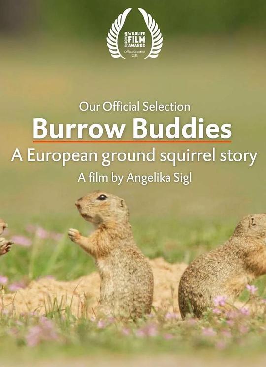 《欧洲地松鼠的穴居生活》纪录片封面