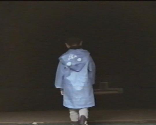 《走失孩童录像带(短片版)》电影封面