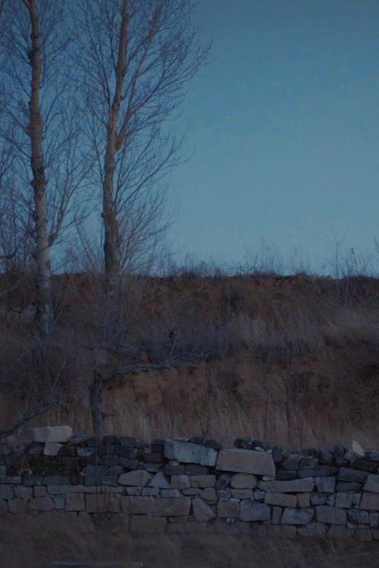 《春之祭》电影封面