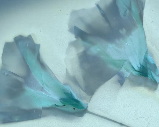 《漫天花雨》电影封面