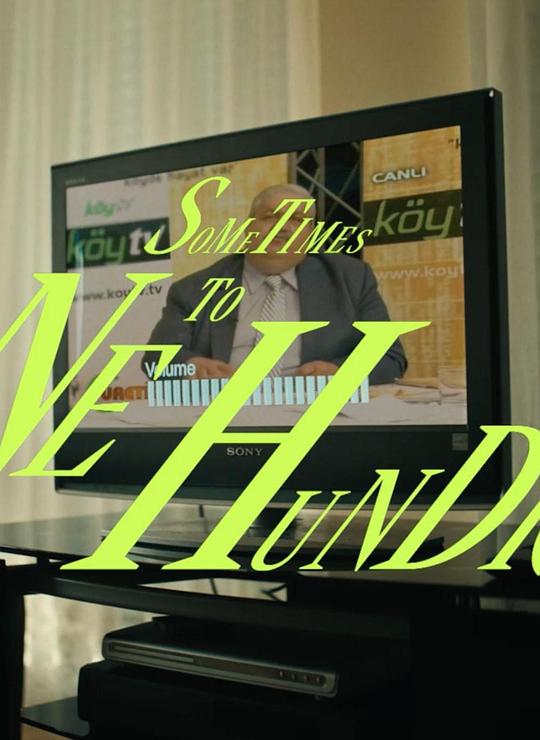 《Sometimes to One Hundred》纪录片封面