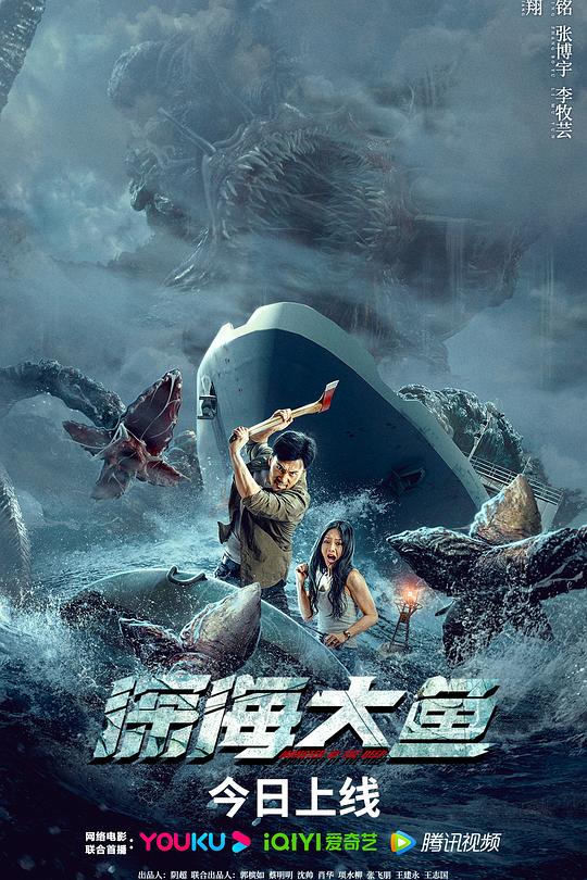 《深海大鱼》电影封面