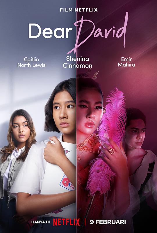 《亲爱的大卫》电影封面