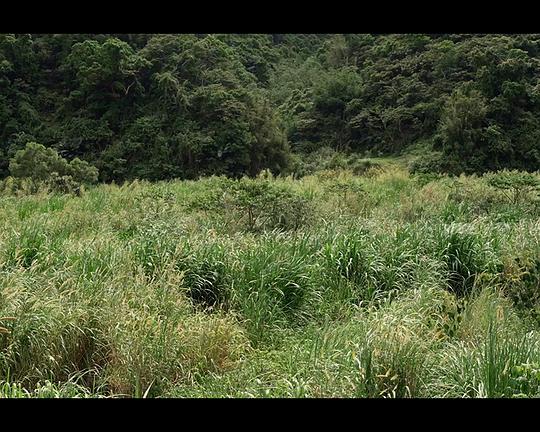 《出去走走》电影封面