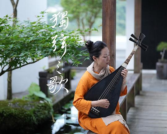 《独弦之歌》纪录片封面