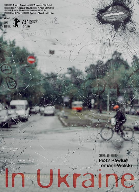 《在乌克兰》纪录片封面